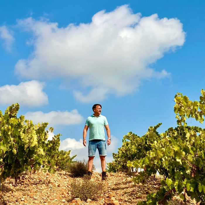 Vino Feliz the White Wine of Ribera del Duero